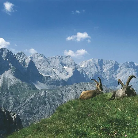 Alojamento de Turismo Rural Banders Imst
