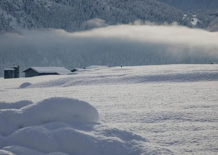 팜스테이 Banders