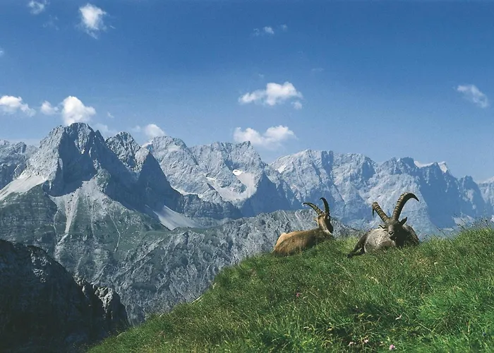 팜스테이 Banders 임스트